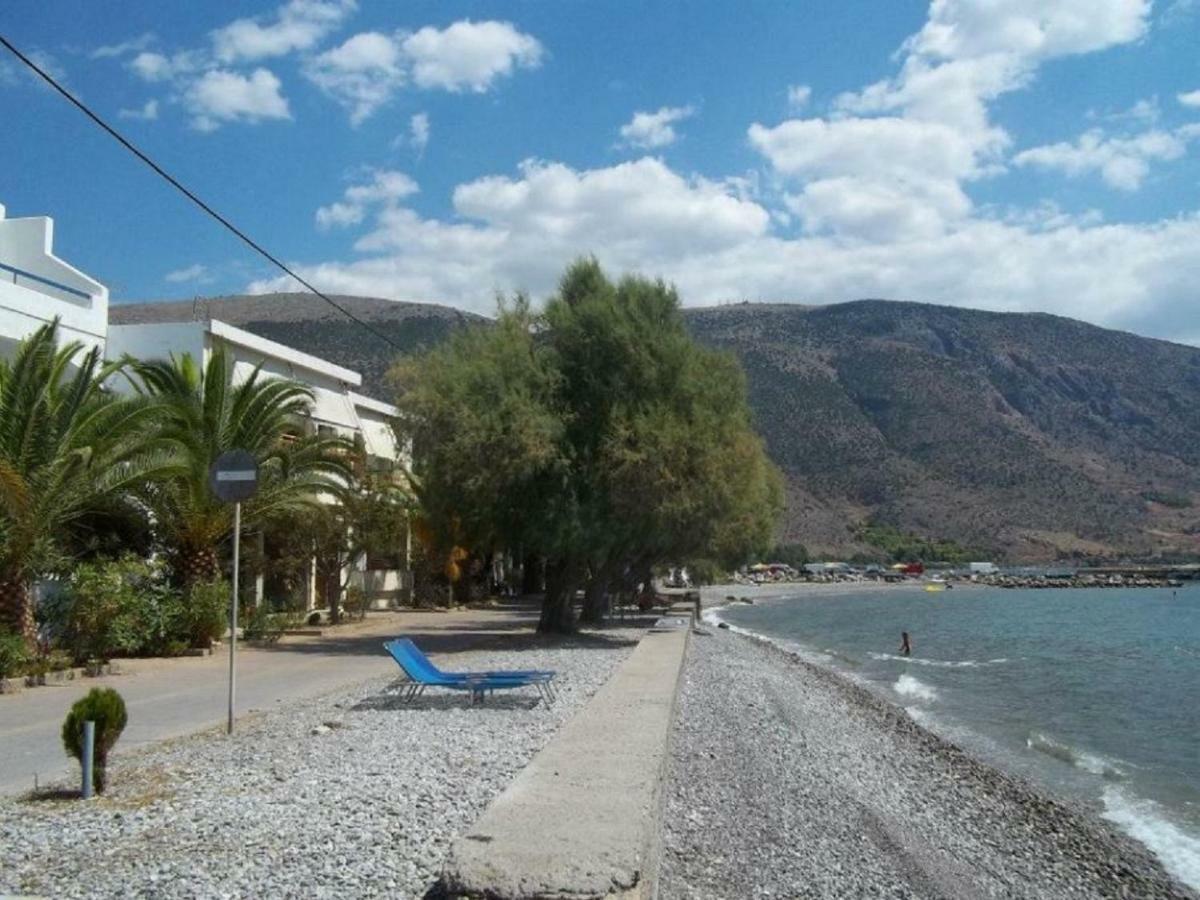 Kirra Luxury Seafront House Nearby Delphi 아파트 외부 사진
