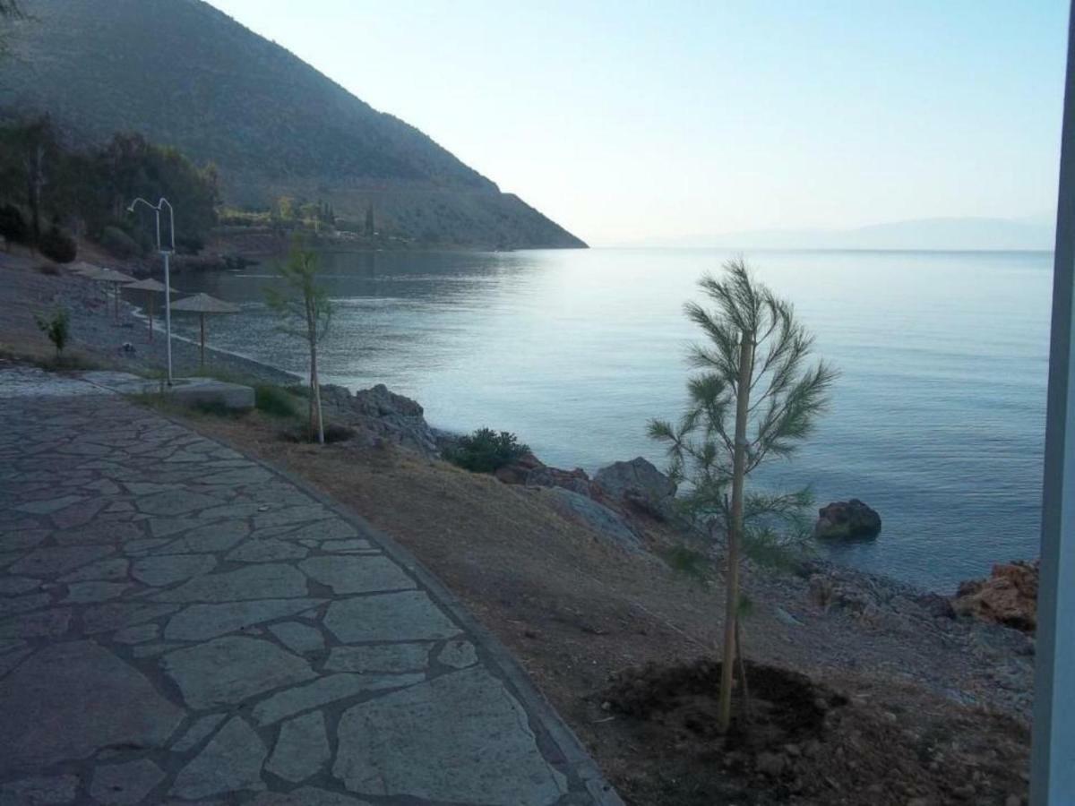 Kirra Luxury Seafront House Nearby Delphi 아파트 외부 사진